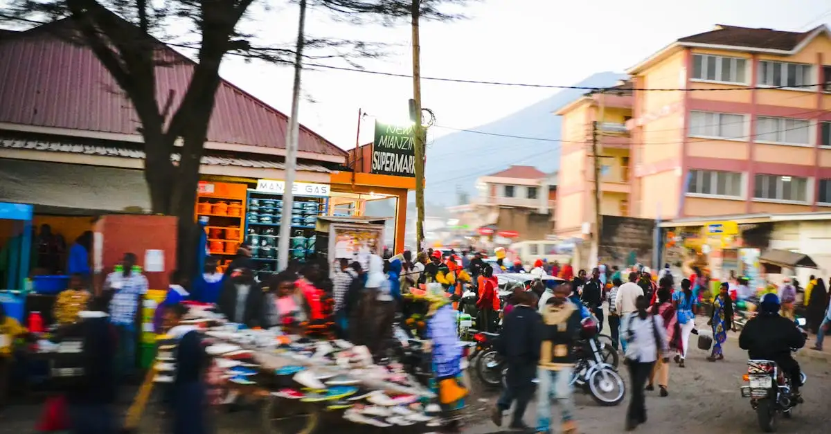 Welke stad ligt aan de voet van de Kilimanjaro in Tanzania?