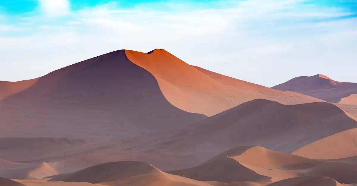 Welke woestijn in Afrika heeft enorme zandduinen?