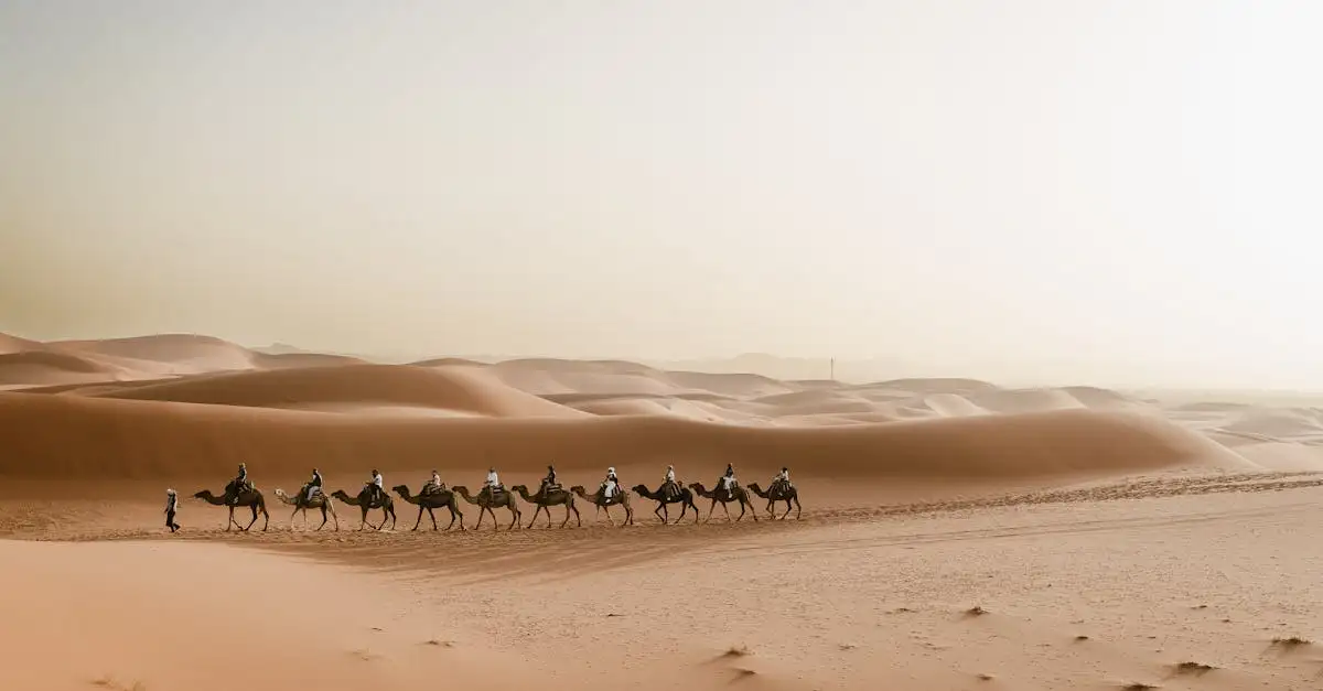 Welke woestijn in Afrika heeft enorme zandduinen?