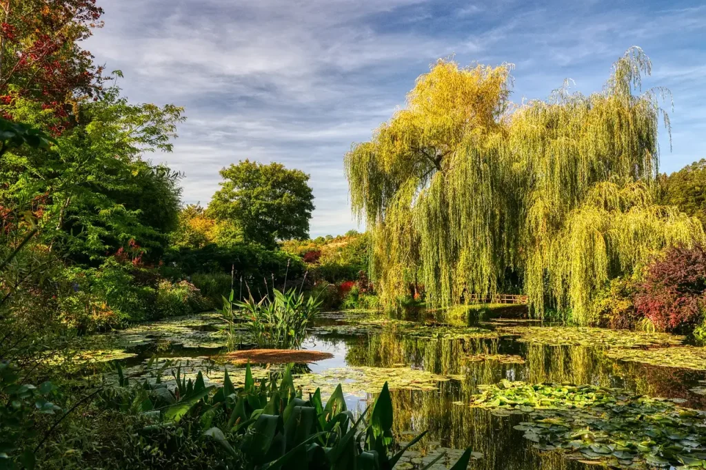 Wie is de schilder van De Brug bij Giverny?