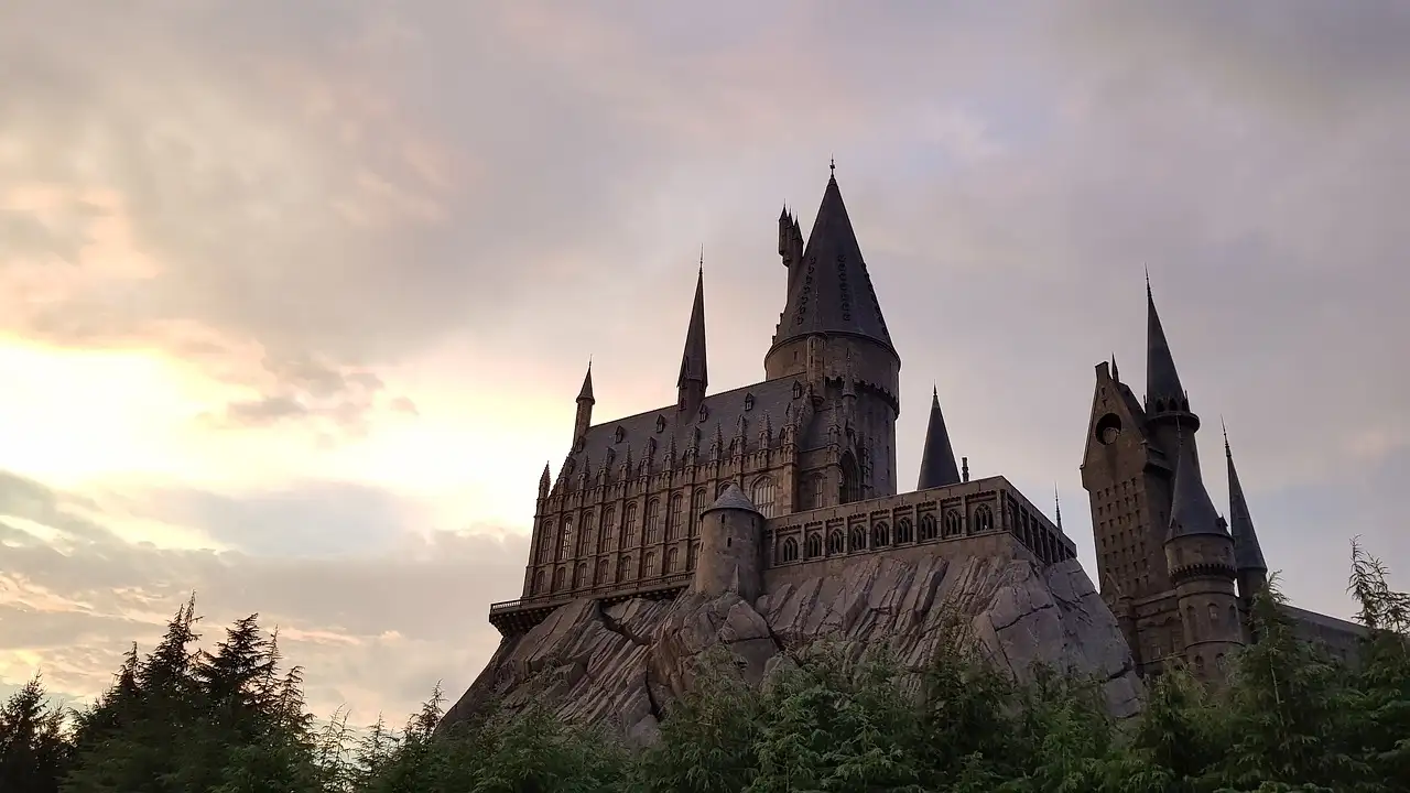 Wie speelde Hermione Granger in Harry Potter?