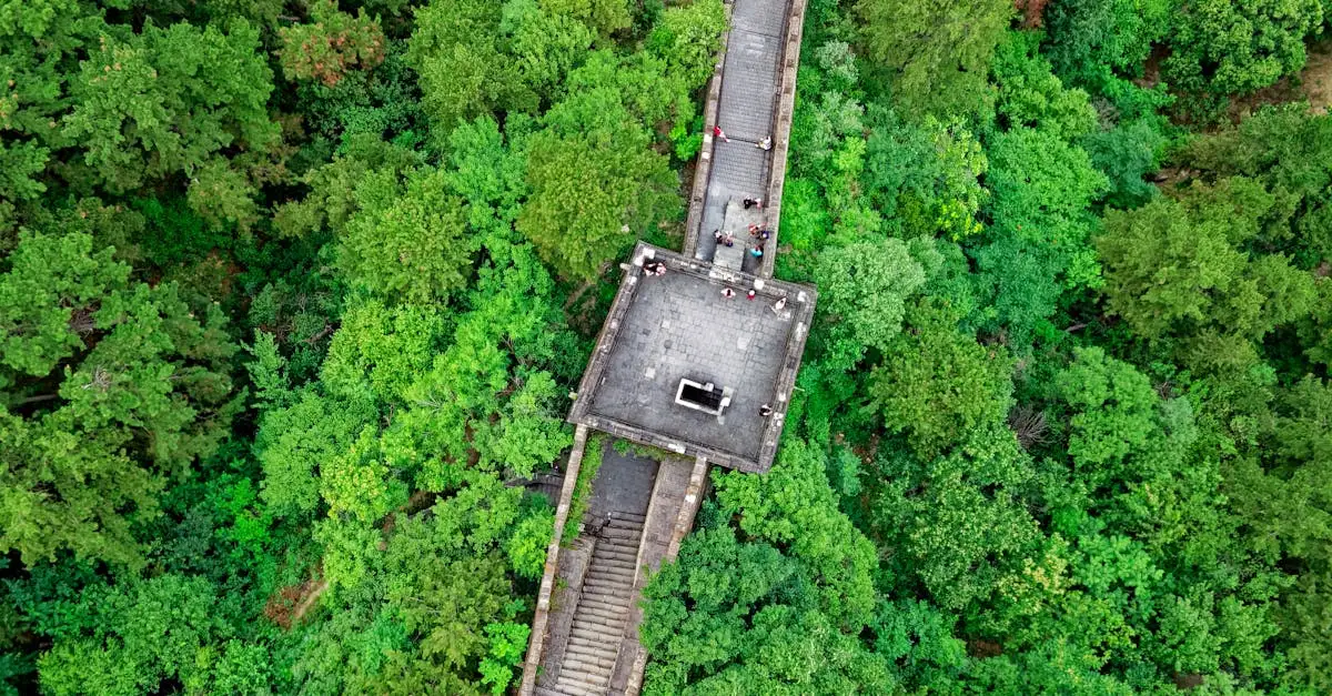 Wie verenigde China en bouwde de Chinese Muur?