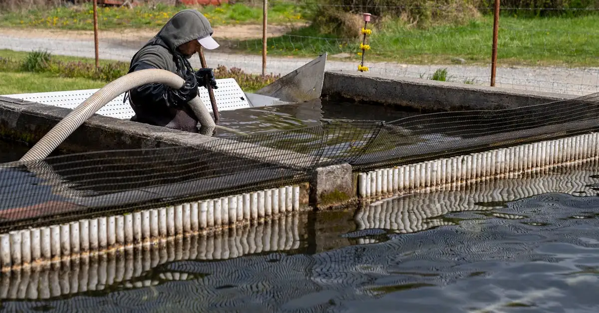 Hoe beheerden de Ottomanen waterbronnen effectief?