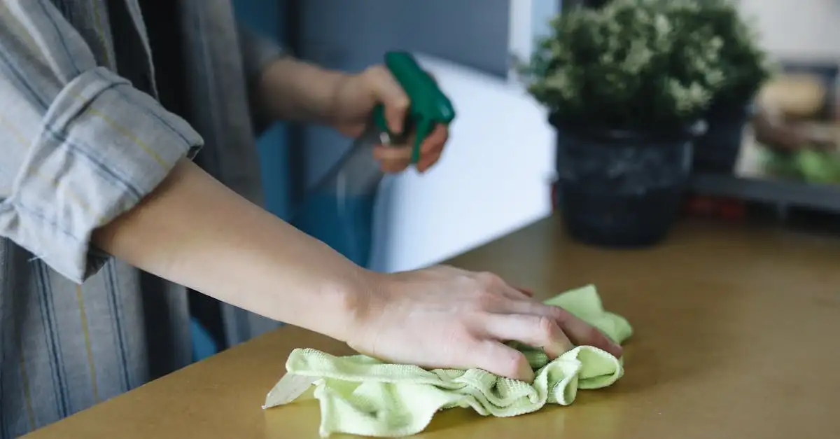 Hoe maak je een blender schoon met water en zeep?