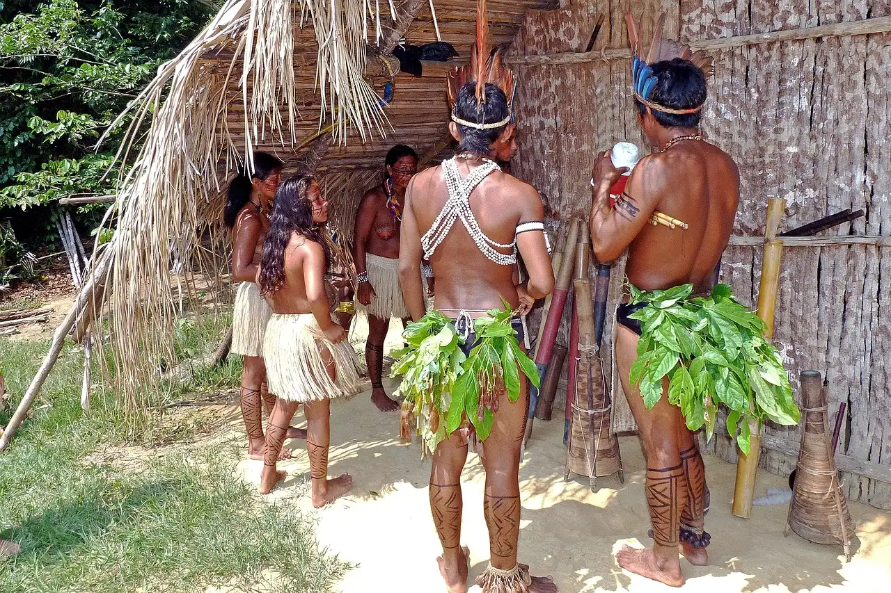 Hoe ontdekten Indianen de maïsteelt?