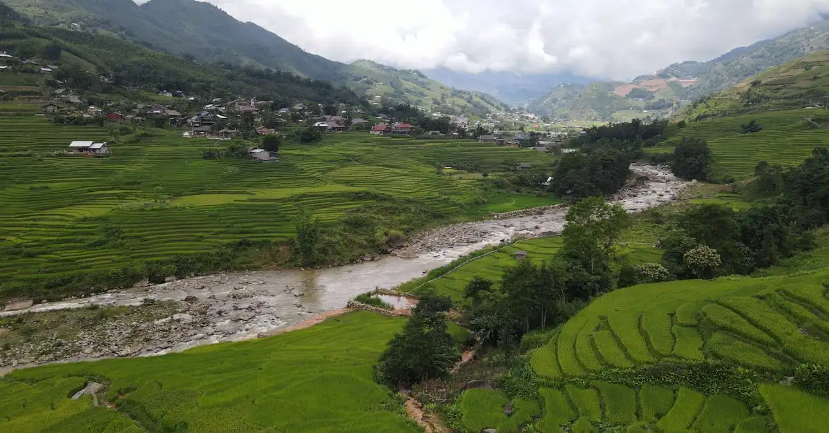Waar vind je de kleurrijke rijstvelden van Sapa in Vietnam?