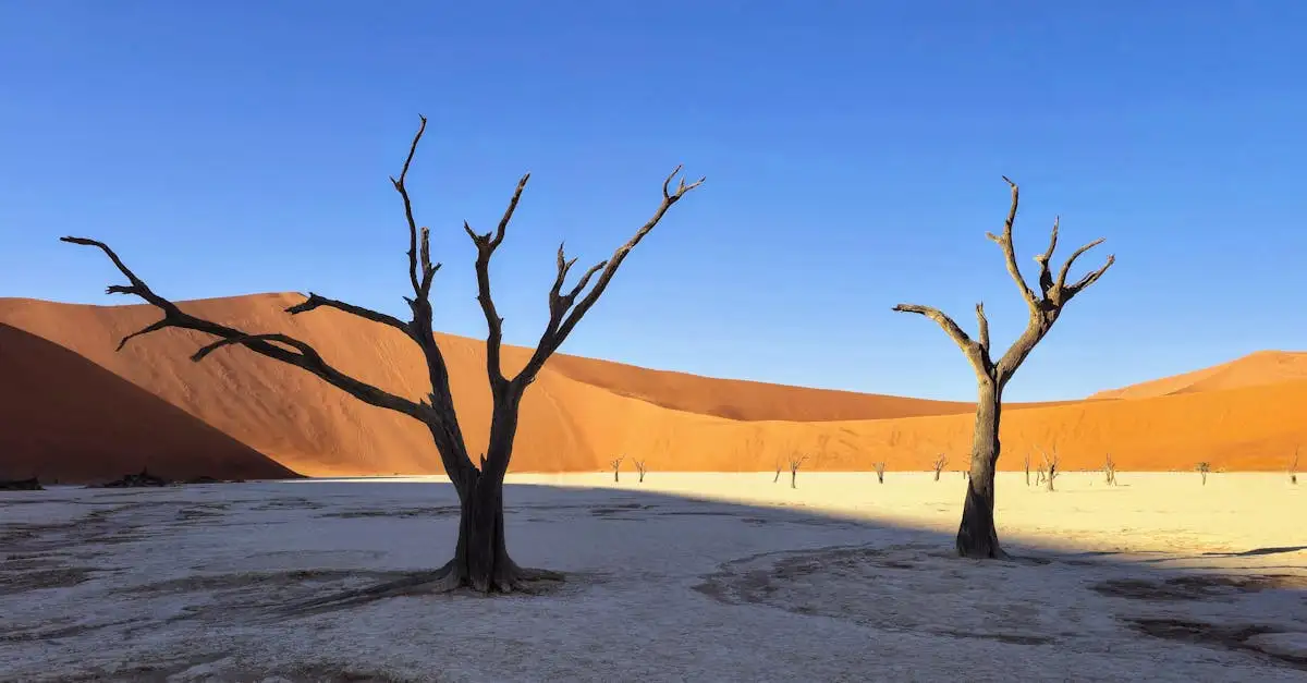 Waar vind je de Namib-woestijn en het Namib-Naukluft Park?