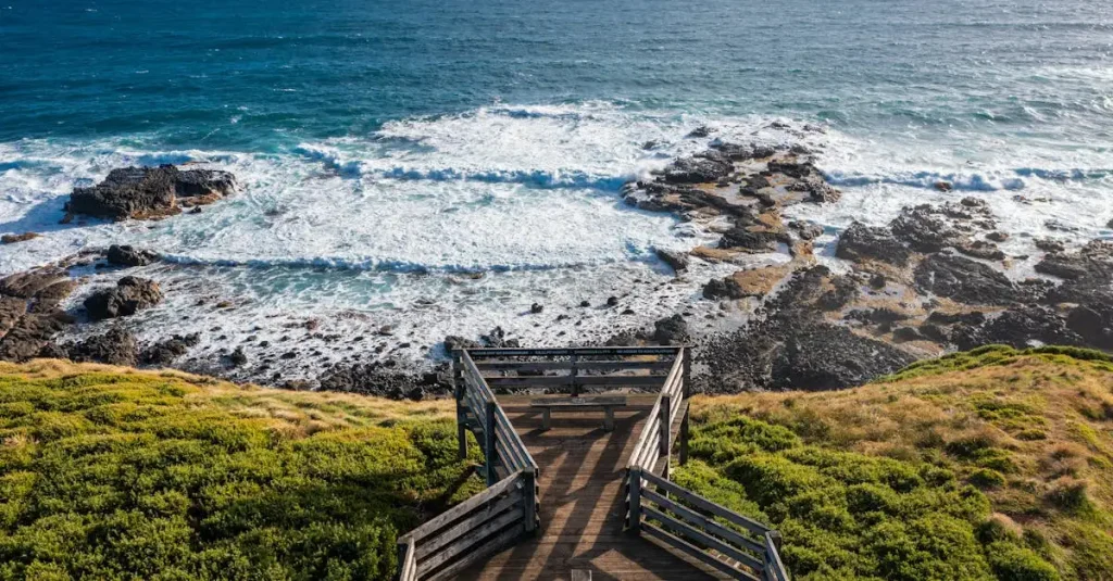 Waarom is de pinguïnparade op Phillip Island zo beroemd?
