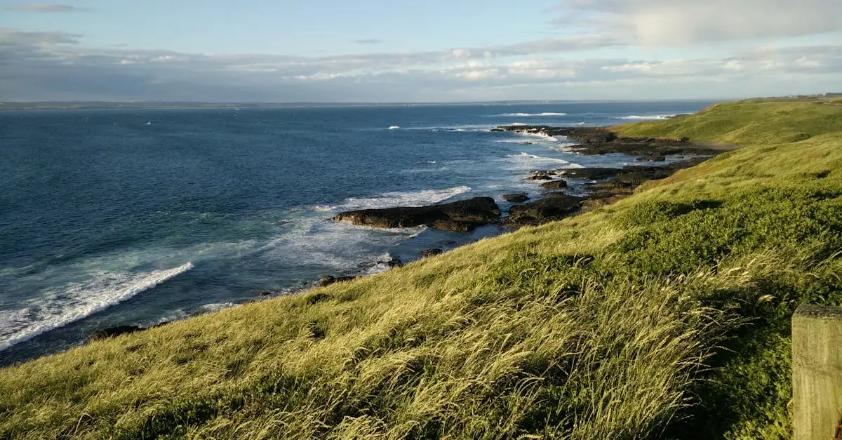 Waarom is de pinguïnparade op Phillip Island zo beroemd?