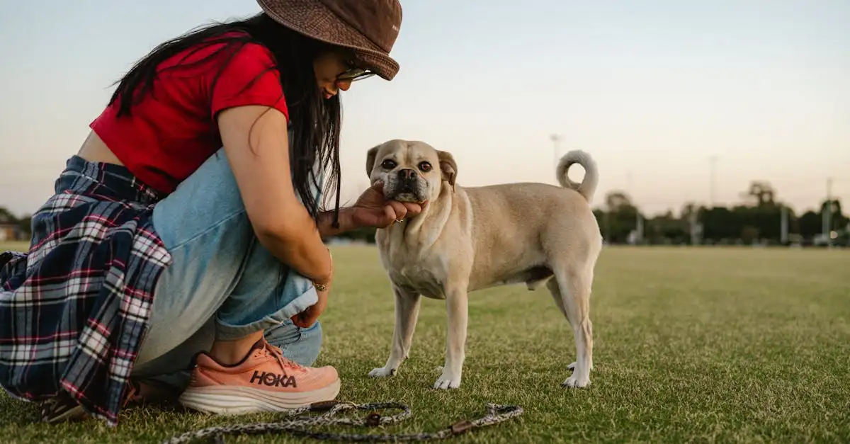 Wat is de gemiddelde levensduur van een hond?