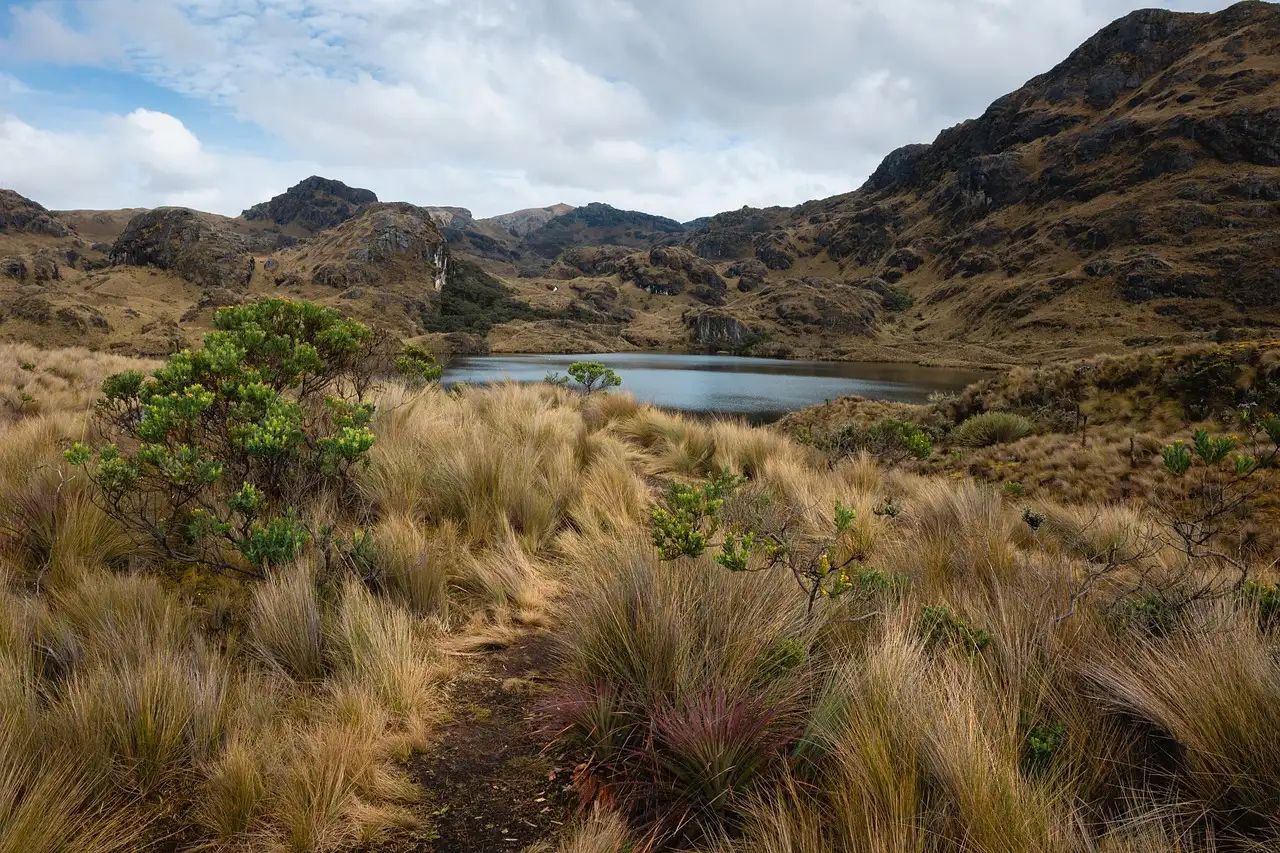 Wat is de hoofdstad van Ecuador en waarom juist die?
