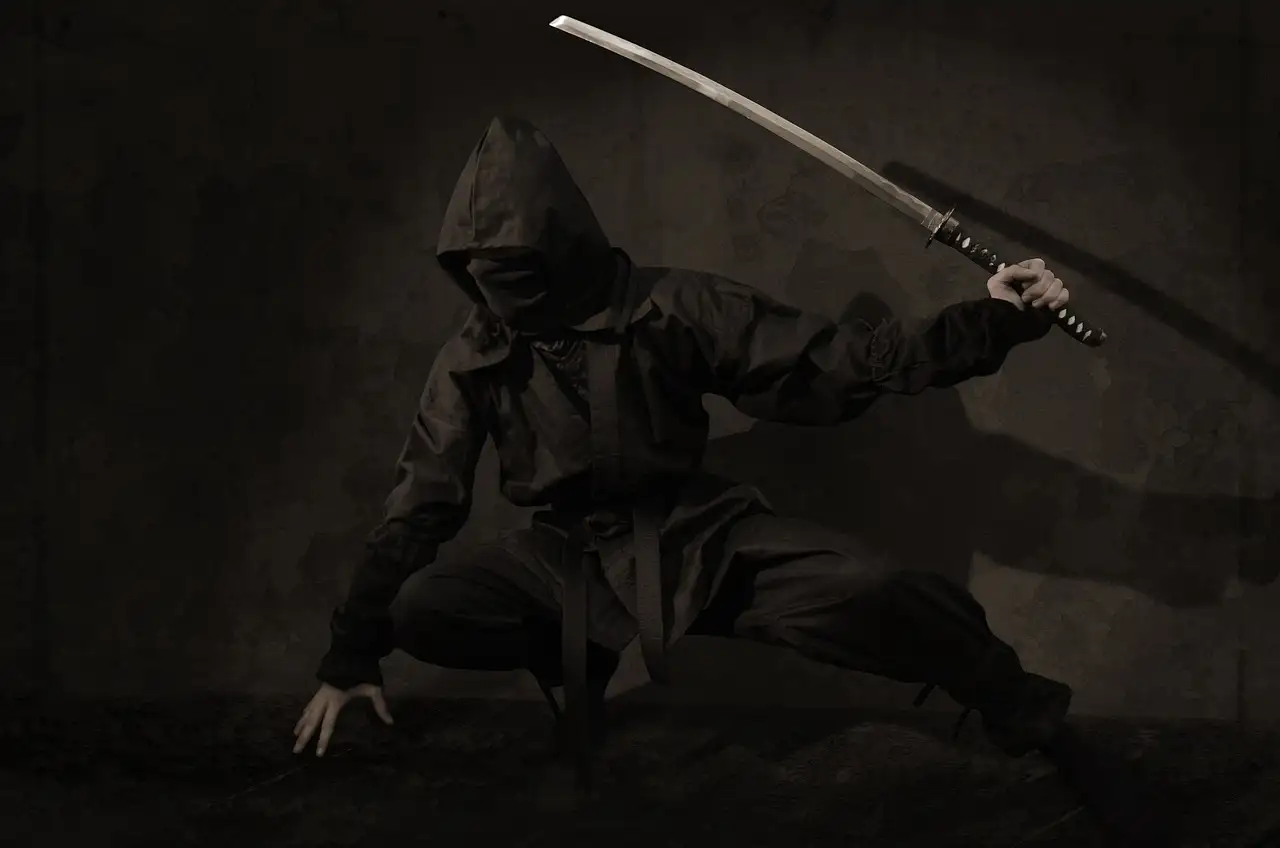 Wat is een ninja? Eenvoudige uitleg voor kinderen!