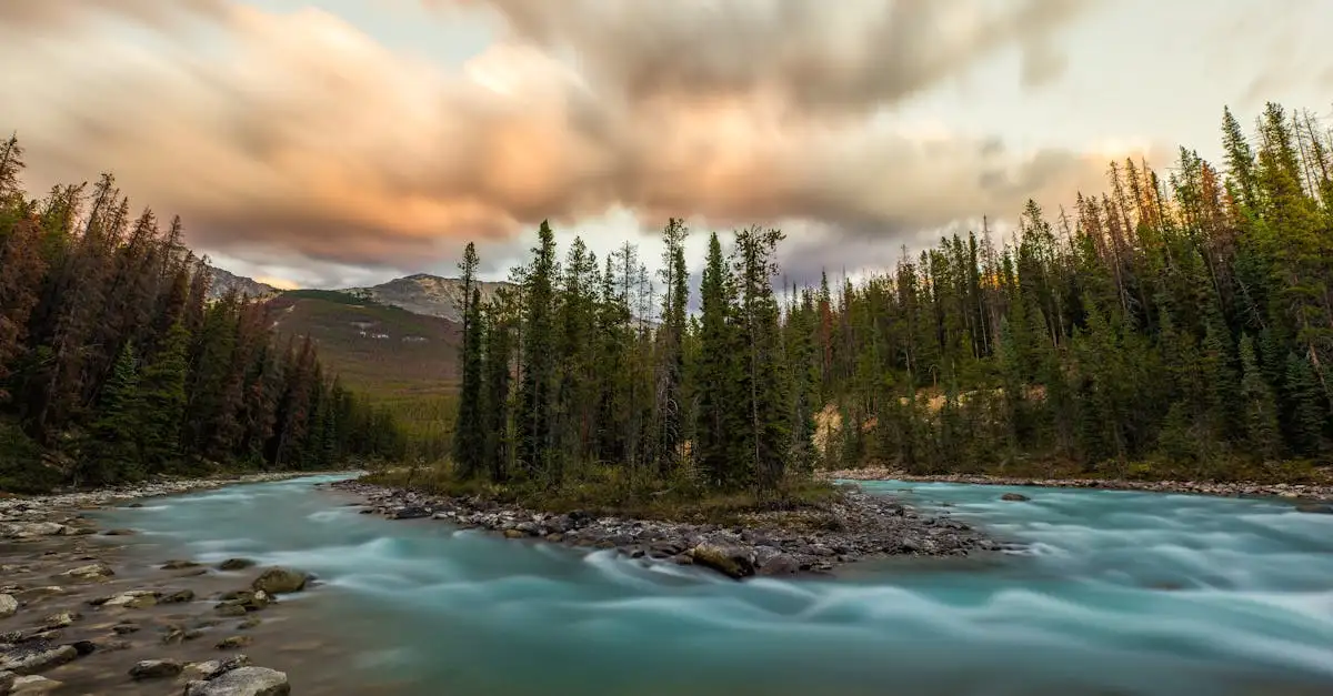 Wat is het grootste nationale park van Canada?