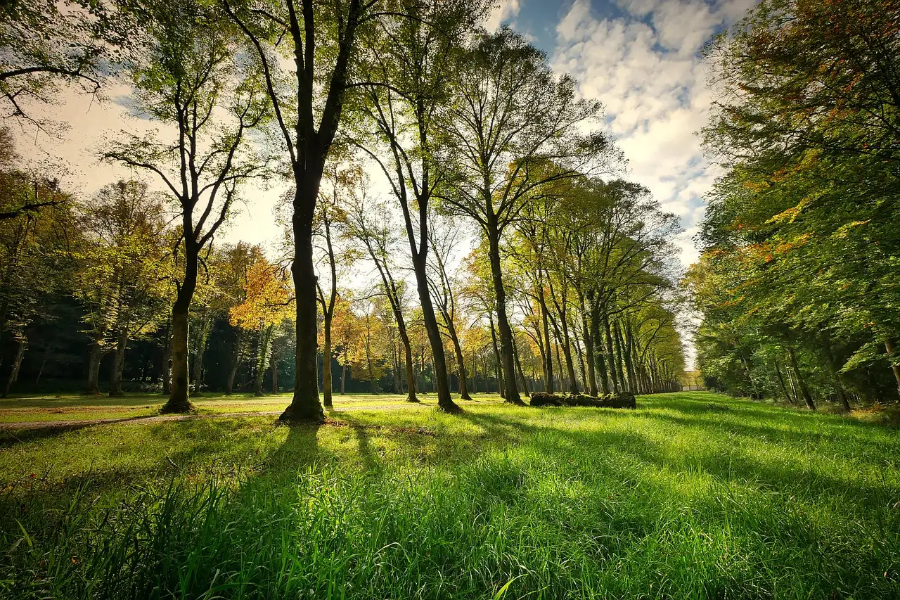 Wat is het grootste nationale park van Zwitserland?