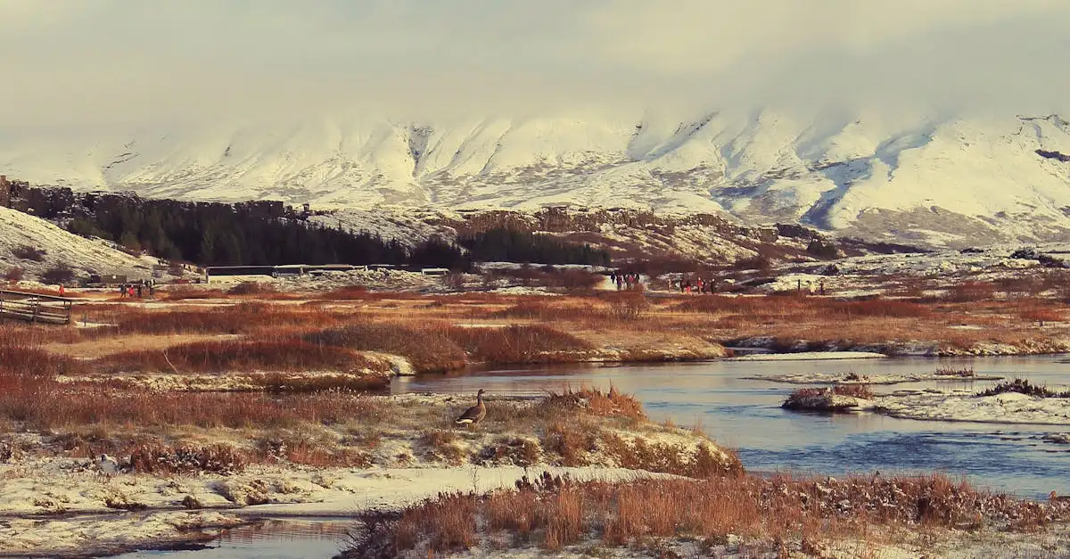 Wat is het Þingvellir National Park in IJsland?
