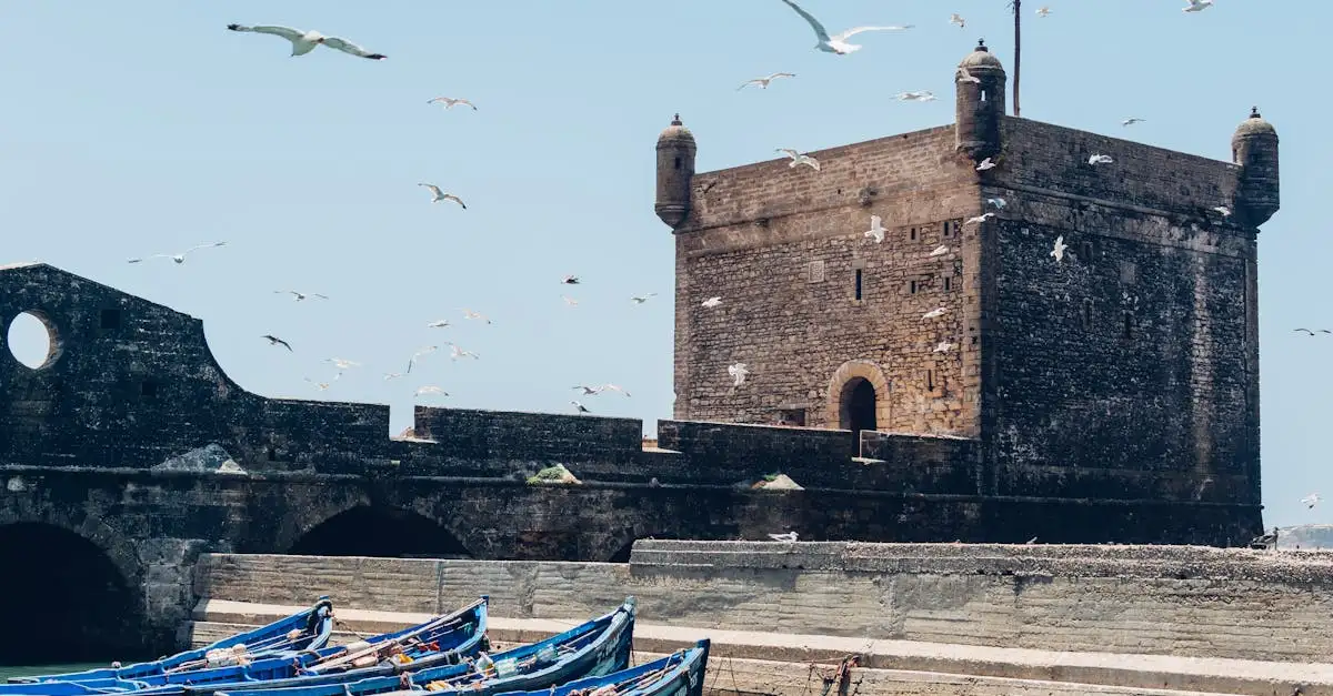 Wat maakt Essaouira's haven in Marokko zo beroemd?
