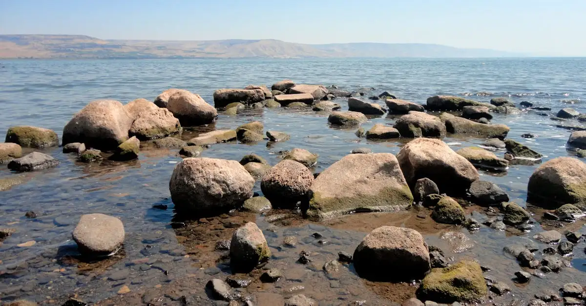Wat maakt het Meer van Galilea uniek in Israël?