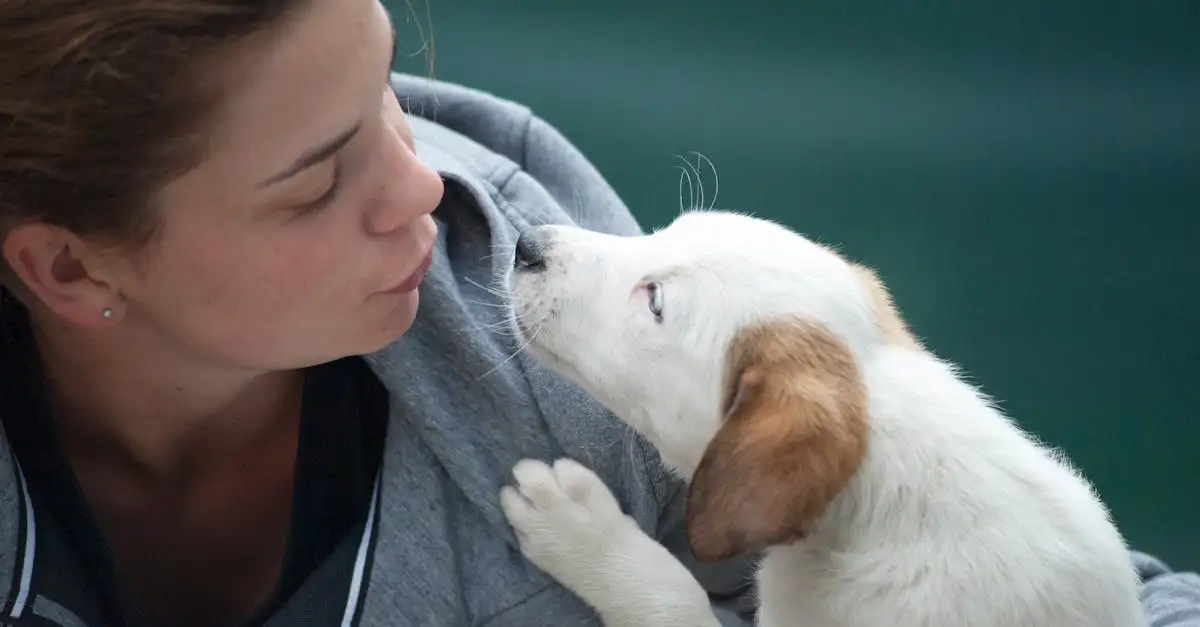 Wat maakt honden uniek in sociale interactie met mensen?