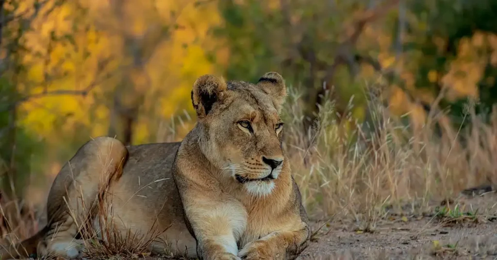 Wat maakt Serengeti National Park zo beroemd in Tanzania?