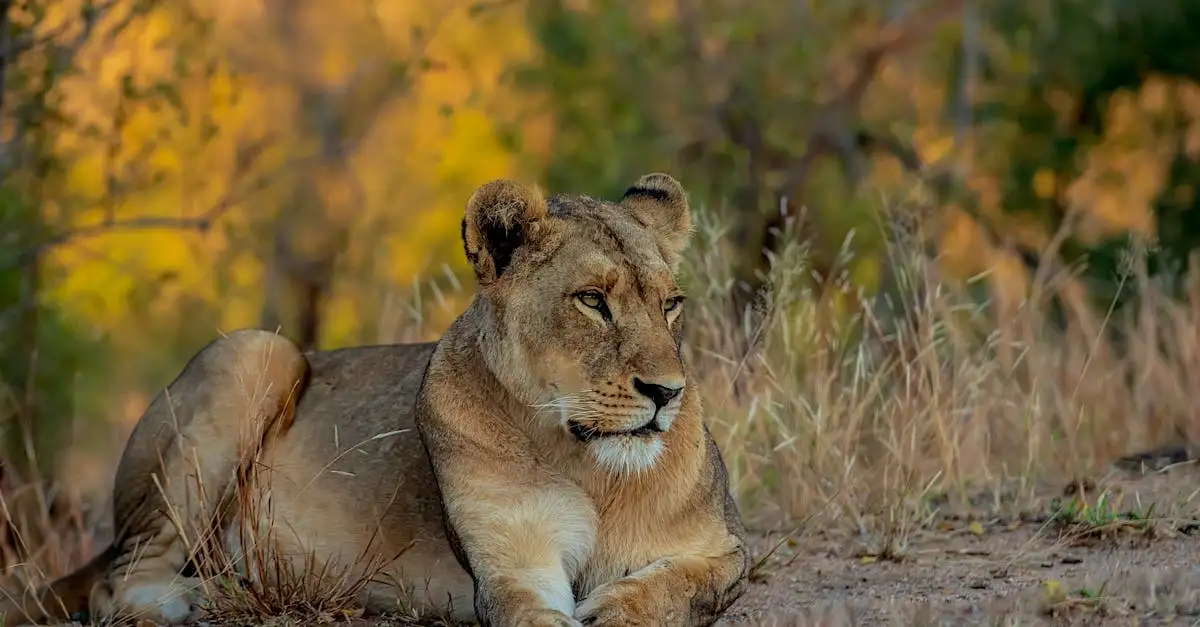 Wat maakt Serengeti National Park zo beroemd in Tanzania?