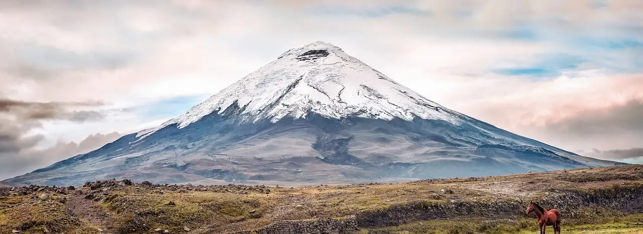 Wat te beleven in Ecuador: activiteiten, cultuur en evenementen?