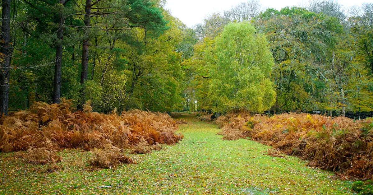 Wat te doen in New Hampshire: Activiteiten en evenementen?