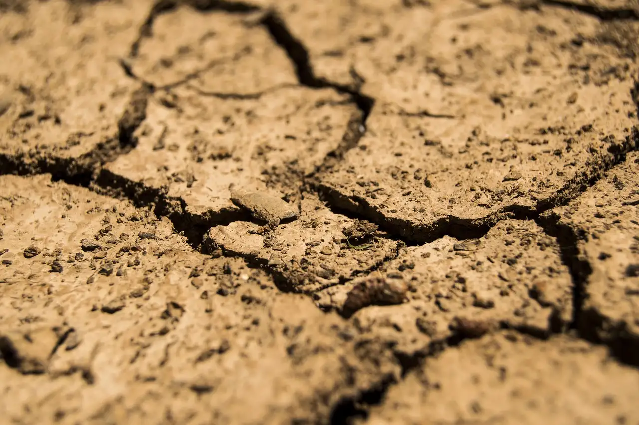 Wat veroorzaakte de extreme droogte in Brazilië 2014-2015?