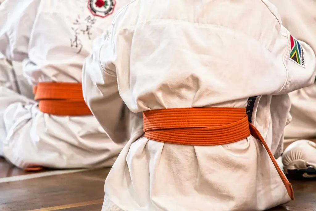 Wat was de impact van karate toevoeging in 2020?