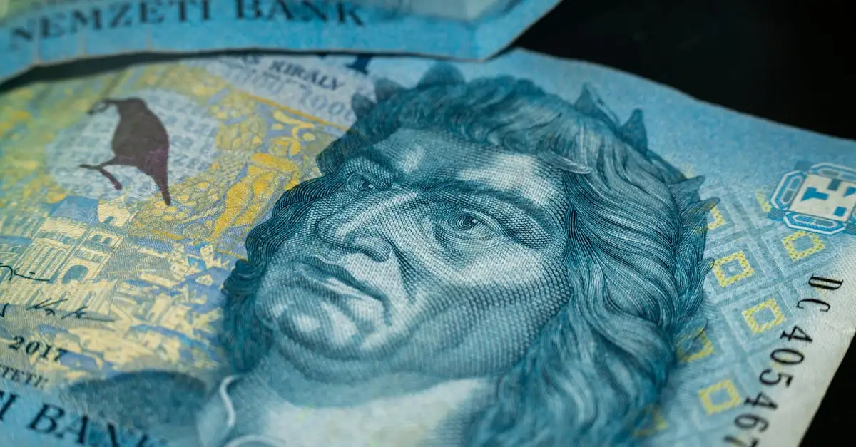 Wat was Hongarije's rol in de economie van het keizerrijk?