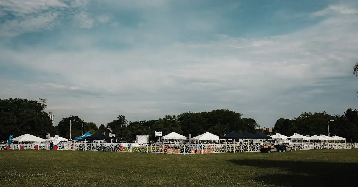 Wat zijn de leukste activiteiten en evenementen in Illinois?