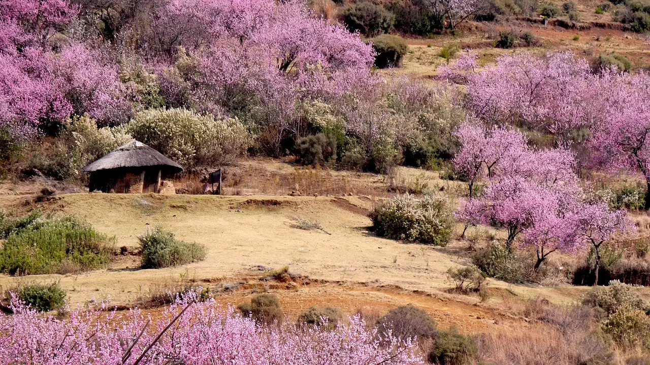 Wat zijn de mooiste musea en historische gebouwen in Lesotho?