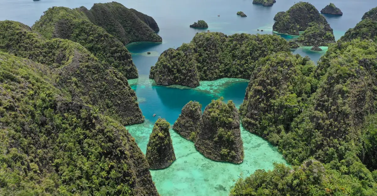 Wat zijn de top 3 bezienswaardigheden in Palau?