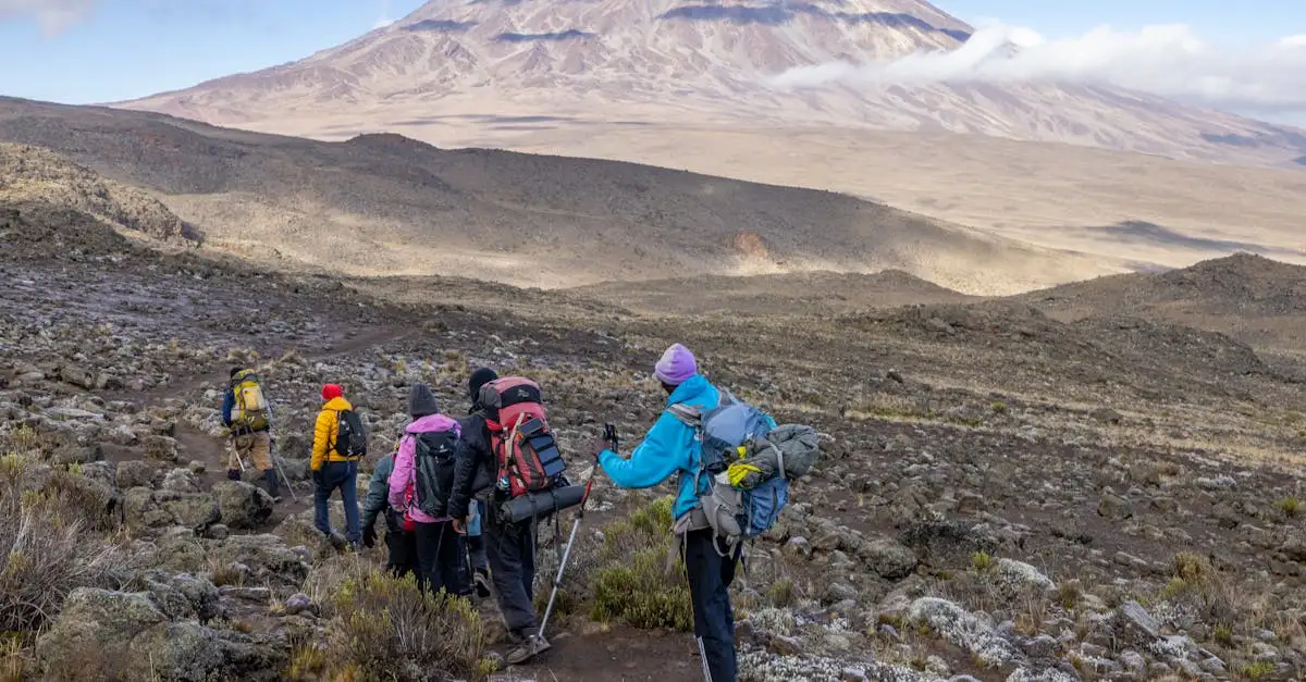 Wat zijn de top 3 bezienswaardigheden in Tanzania?