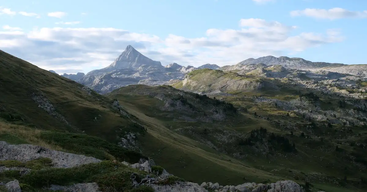 Welk natuurpark in Frankrijk staat bekend om de Pyreneeën?