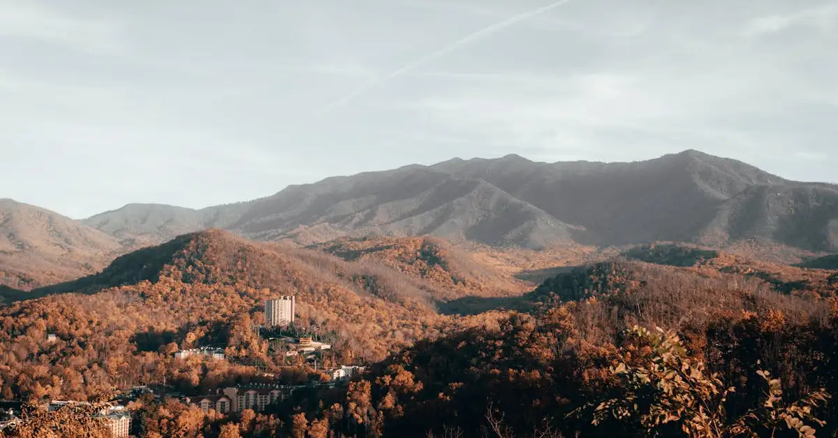 Welke bergen zijn beroemd in het Great Smoky Mountains Park?
