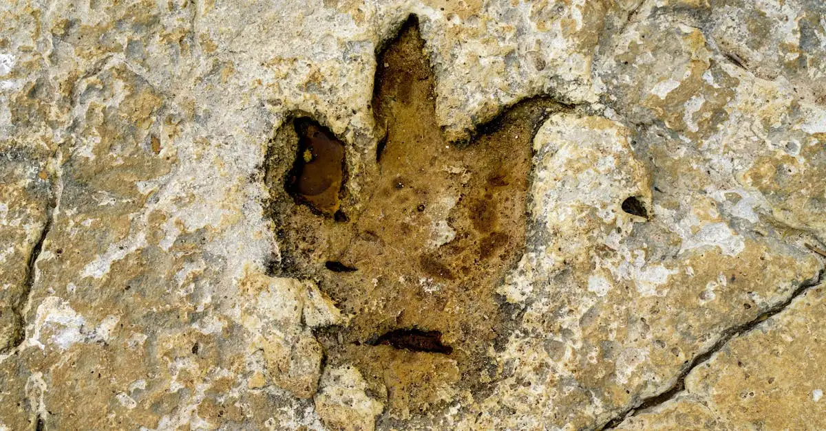 Welke dinosaurussen leefden in Europa? Ontdek het hier!