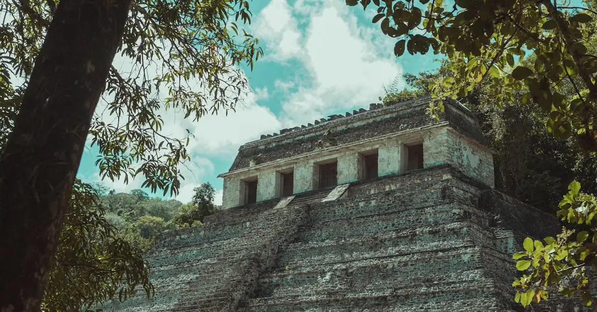 Welke rol hadden de Maya's in de Meso-Amerikaanse geschiedenis?