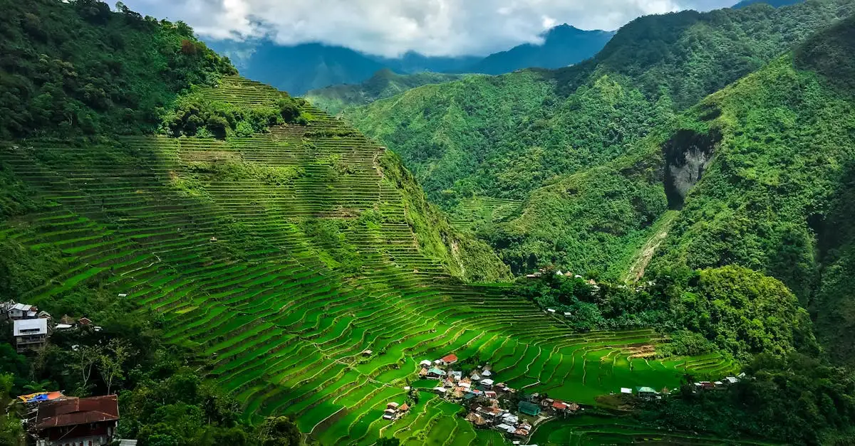 Welke stad in de Filipijnen staat bekend om Banaue rijstvelden?