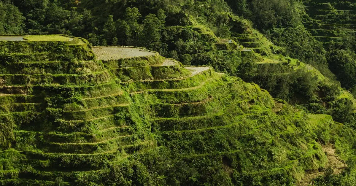 Welke stad in de Filipijnen staat bekend om Banaue rijstvelden?