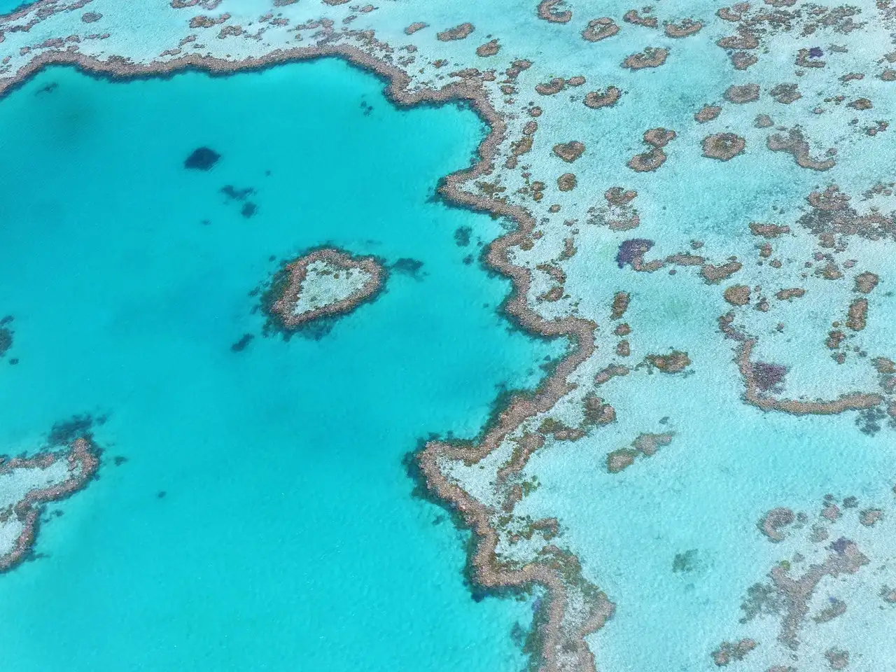 Welke stad is de toegangspoort tot het Great Barrier Reef?