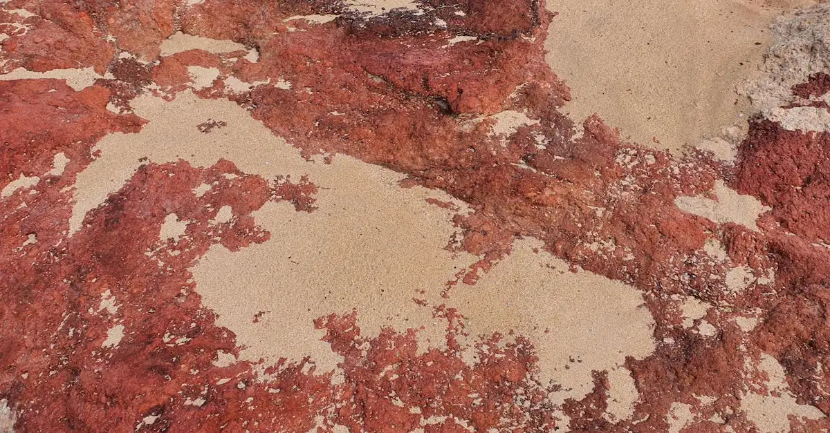 Welke woestijn in Australië heeft het beroemde rode zand?