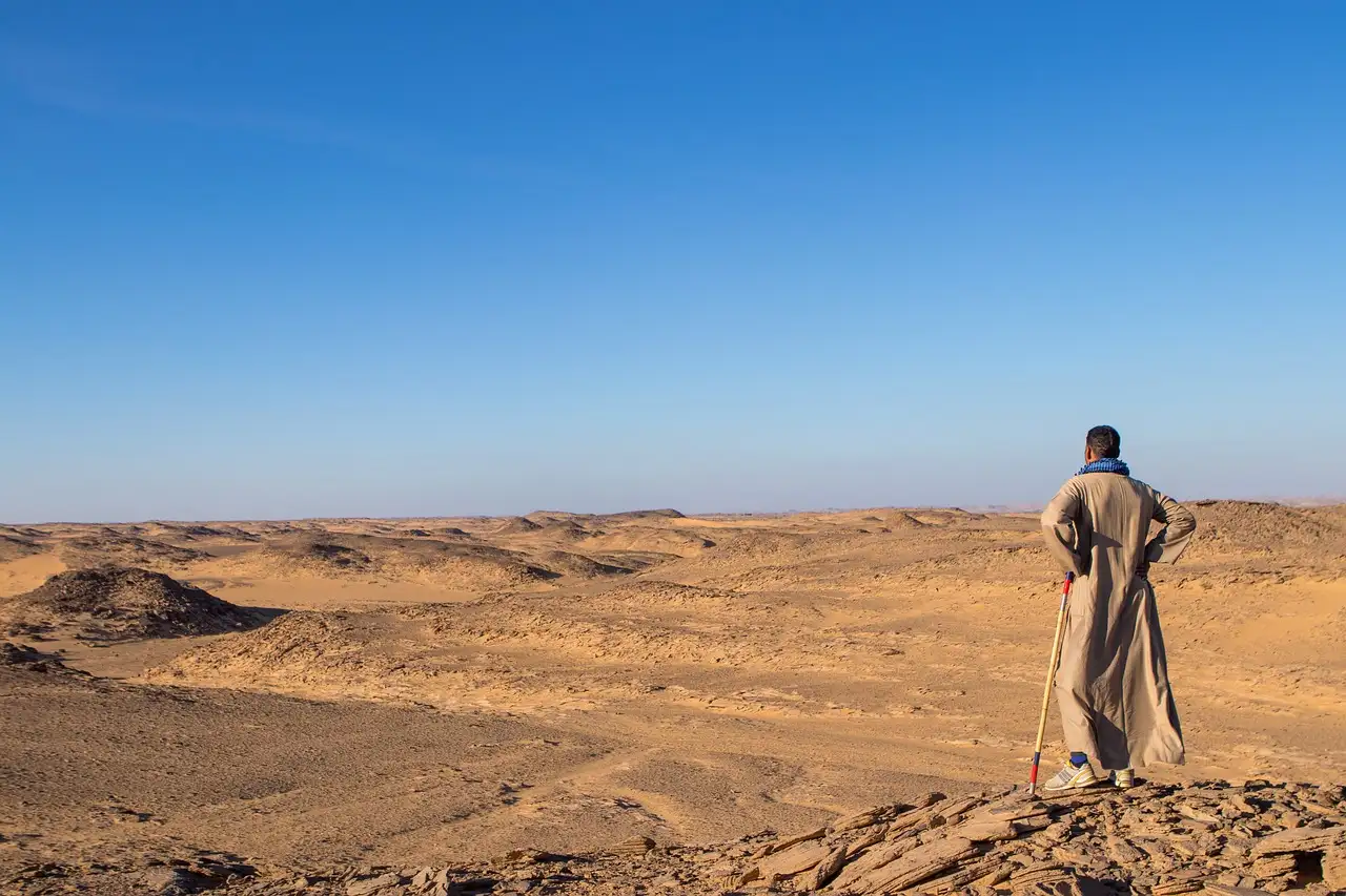 Welke woestijn in Egypte heeft de Witte Woestijn?