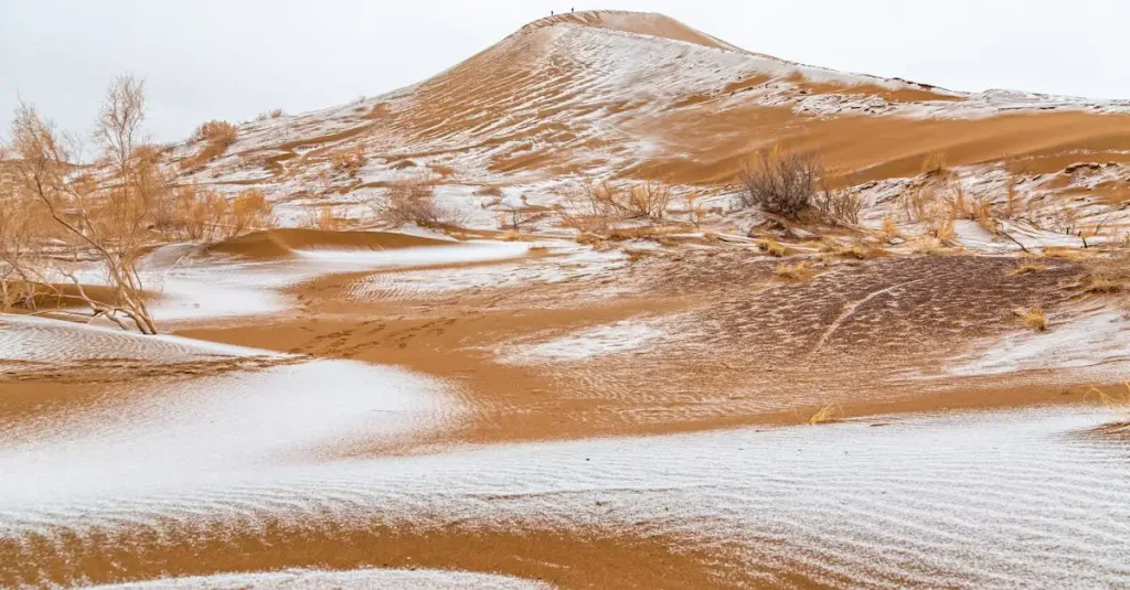 Welke woestijn in Patagonië heeft een koud klimaat?