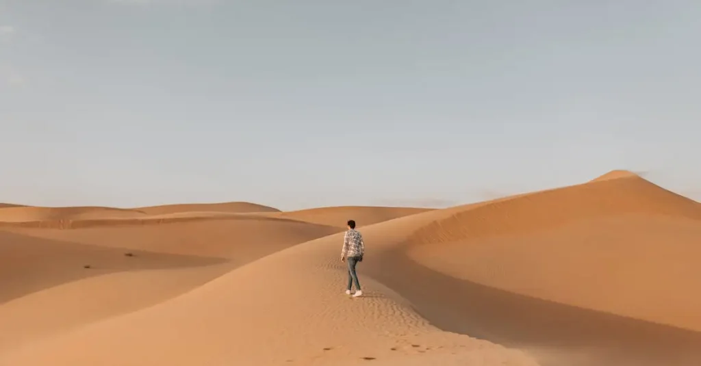 Welke woestijn in Saudi-Arabië is de Rub' al Khali?