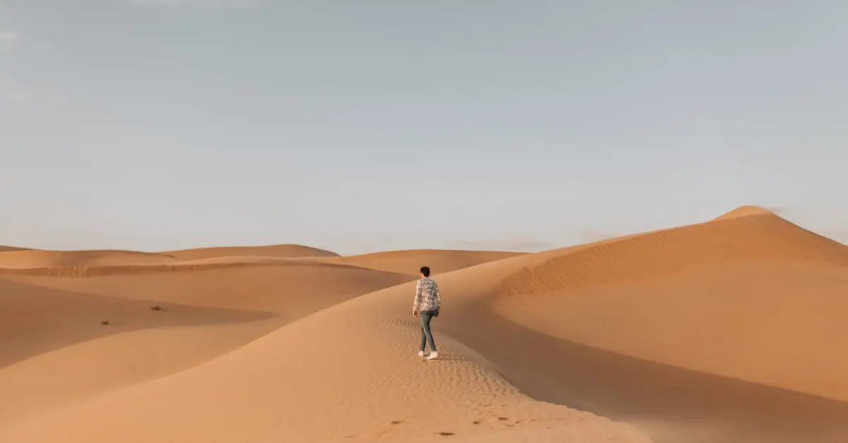 Welke woestijn in Saudi-Arabië is de Rub' al Khali?