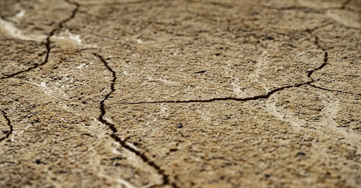 Welke woestijn is de droogste plek op aarde?