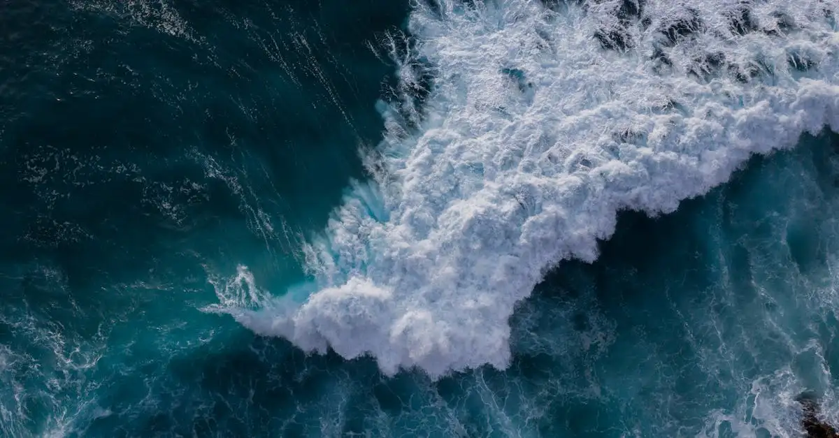 Hoe beïnvloedde de tsunami van 1960 Hawaï's kusten?