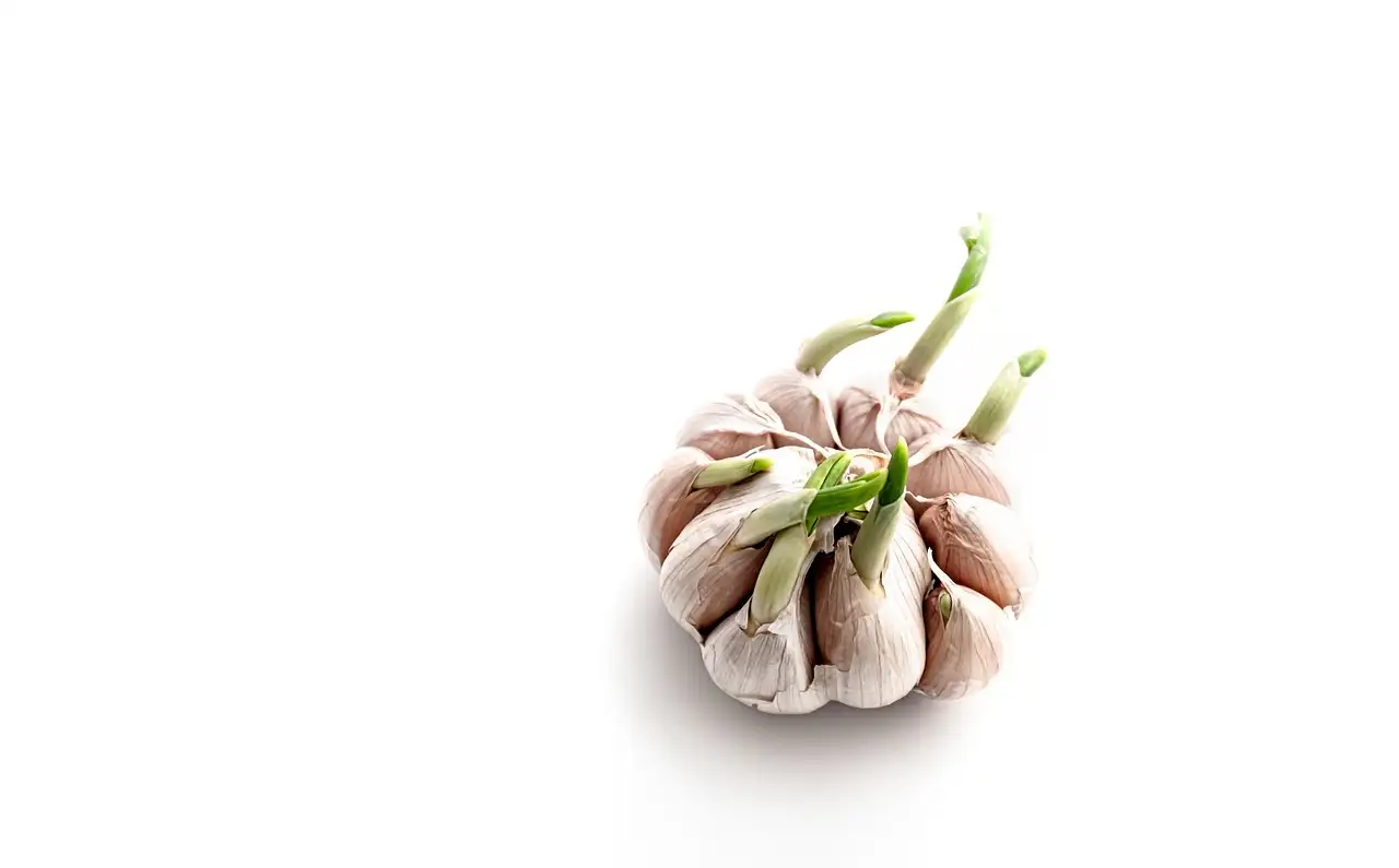 Hoe bestrijd je zilvervisjes natuurlijk met aardappelvalletjes?