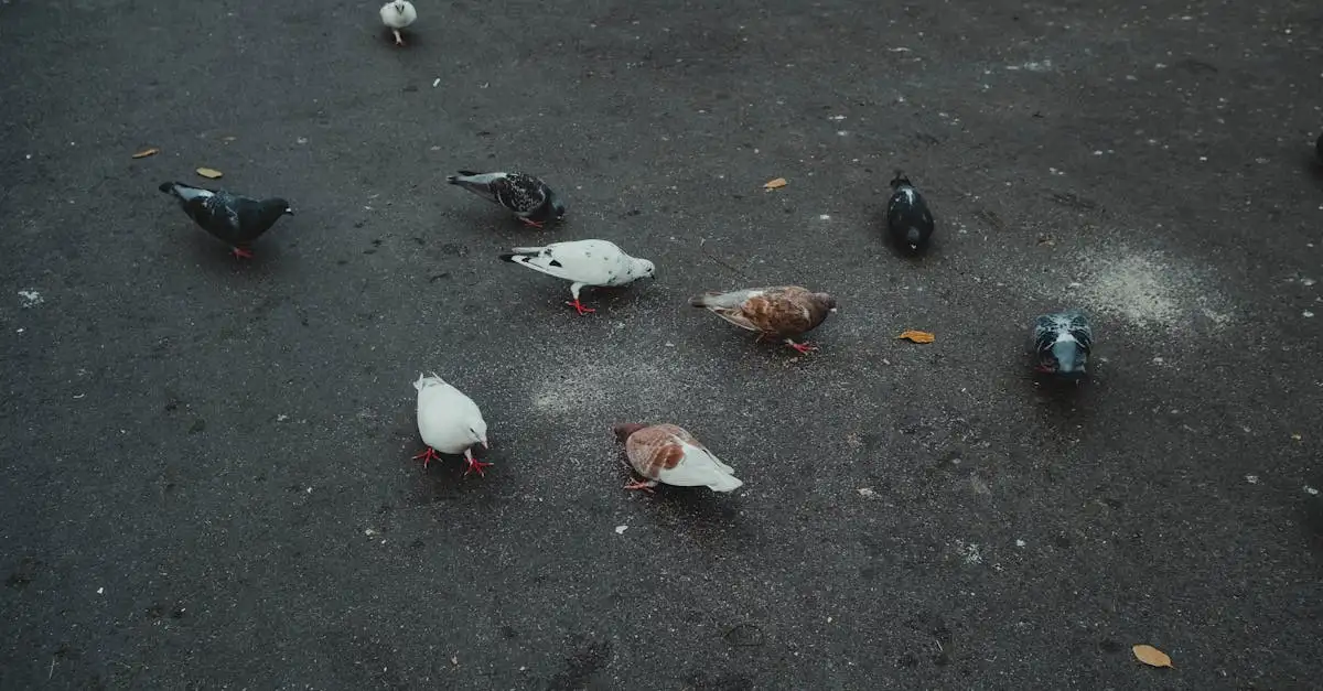 Hoe helpt snavelvorm vogels bij het vinden van voedsel?