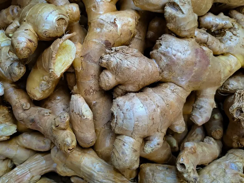 Hoe kan gemberthee je helpen bij verkoudheid?
